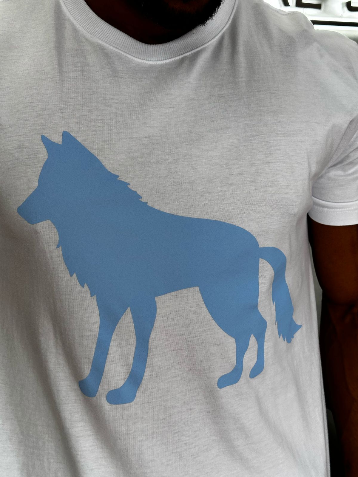 Camiseta Acostamento