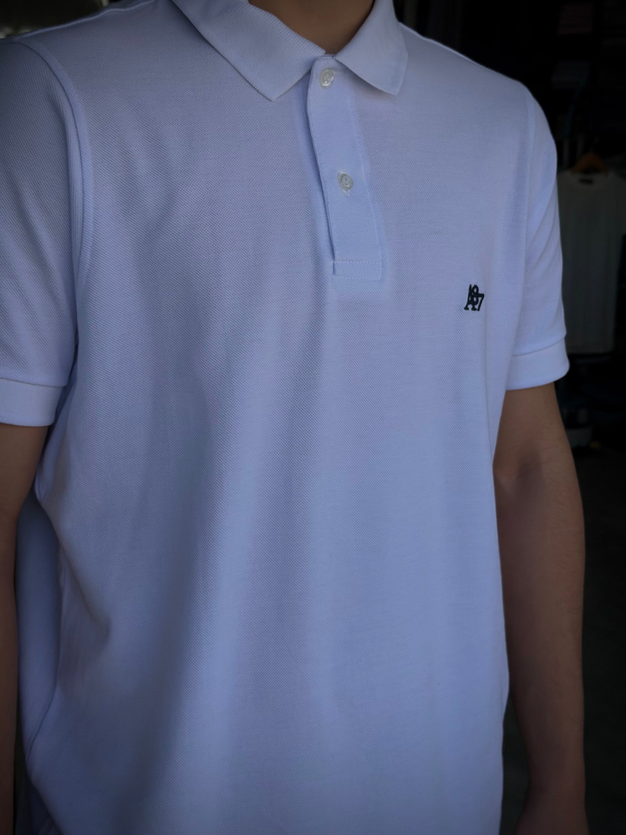 Camisa Polo Aeropostale