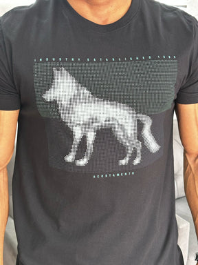 Camiseta Acostamento