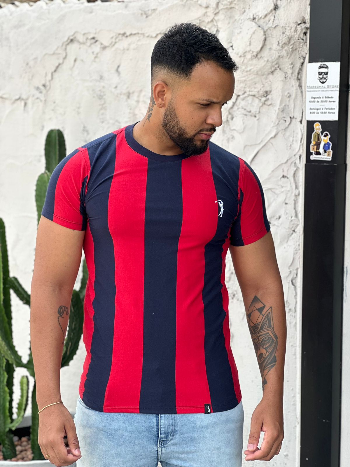 Camiseta Listrada